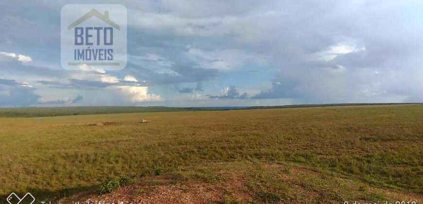 Excelente Fazenda 103 mil hectares Dupla Aptidão Ótima localização e estrutura | Itiquira/ MT