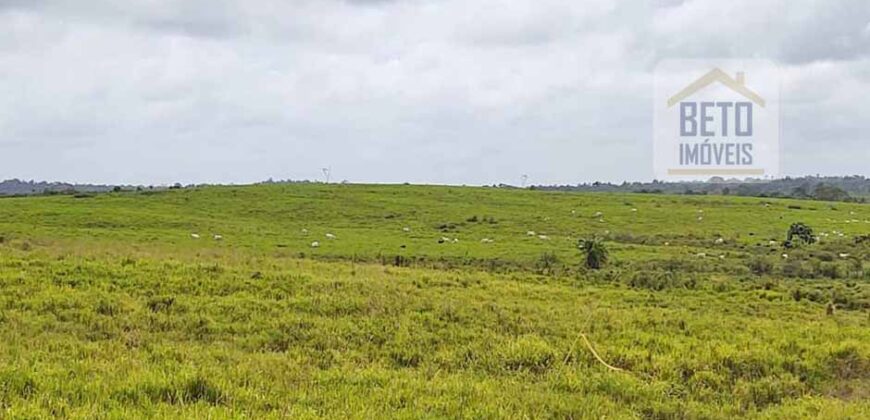 Excelente Fazenda à venda com toda infra-estrutura 4.646 hectares Pista de pouso e Ótima localização | Paragominas/ PA