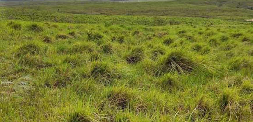 Excelente Fazenda à venda com toda infra-estrutura 4.646 hectares Pista de pouso e Ótima localização | Paragominas/ PA