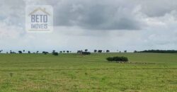 OPORTUNIDADE ÚNICA! Fazenda 1.016 Alqueires com Logística Completa e Pista de pouso | Ourinhos/ SP