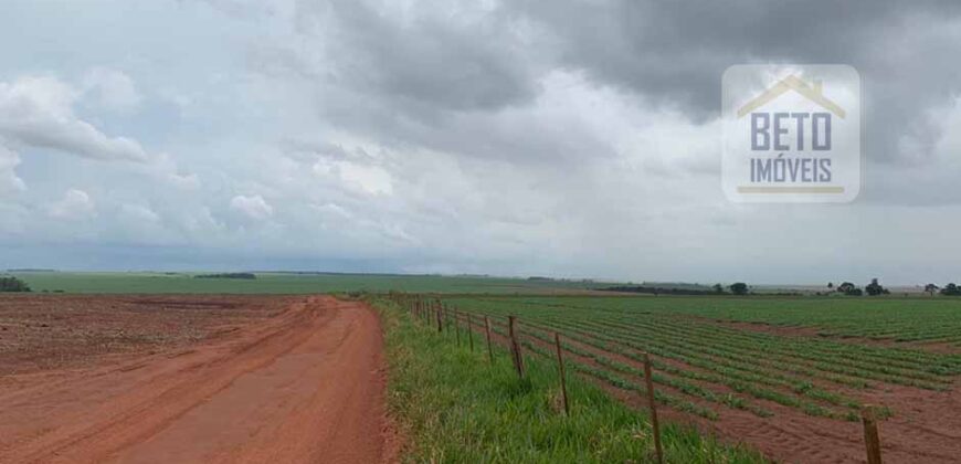 OPORTUNIDADE ÚNICA! Fazenda 1.016 Alqueires com Logística Completa e Pista de pouso | Ourinhos/ SP