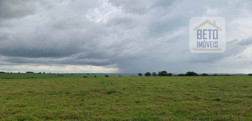 OPORTUNIDADE ÚNICA! Fazenda 1.016 Alqueires com Logística Completa e Pista de pouso | Ourinhos/ SP