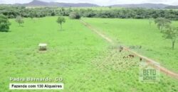 Oportunidade Única! Fazenda à venda com 130 Alqueires em Padre Bernardo/ GO