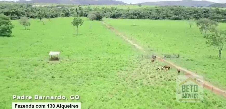 Oportunidade Única! Fazenda à venda com 130 Alqueires em Padre Bernardo/ GO