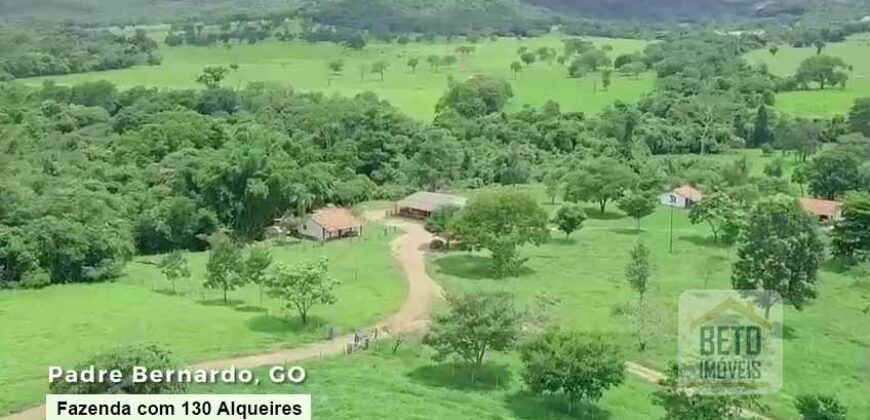 Oportunidade Única! Fazenda à venda com 130 Alqueires em Padre Bernardo/ GO