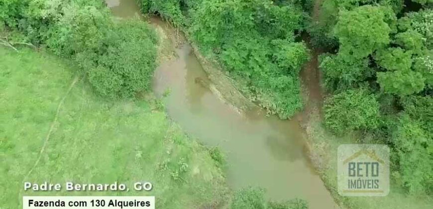 Oportunidade Única! Fazenda à venda com 130 Alqueires em Padre Bernardo/ GO