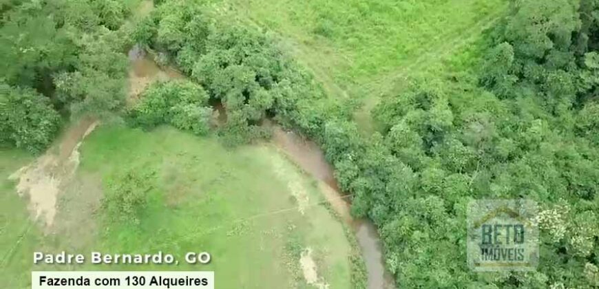 Oportunidade Única! Fazenda à venda com 130 Alqueires em Padre Bernardo/ GO