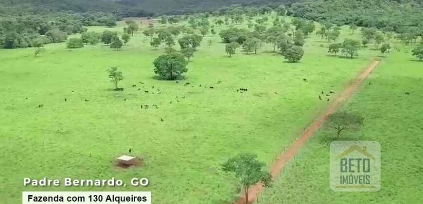 Oportunidade Única! Fazenda à venda com 130 Alqueires em Padre Bernardo/ GO