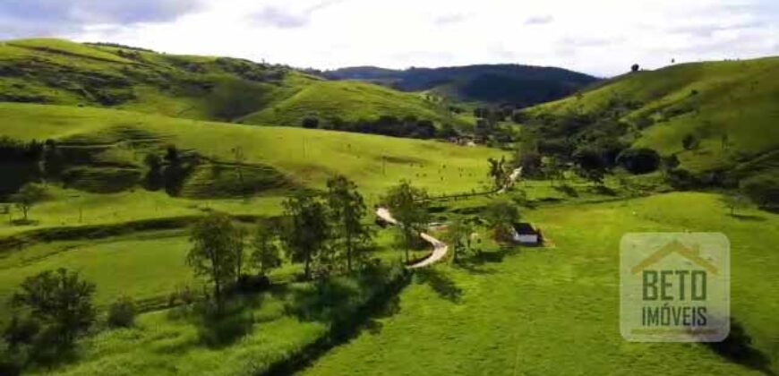 Fazenda Excepcional Estrutura Completa e Recursos Naturais incríveis 1000 alqueires | Santa Branca/ SP