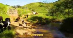 Fazenda Excepcional Estrutura Completa e Recursos Naturais incríveis 1000 alqueires | Santa Branca/ SP