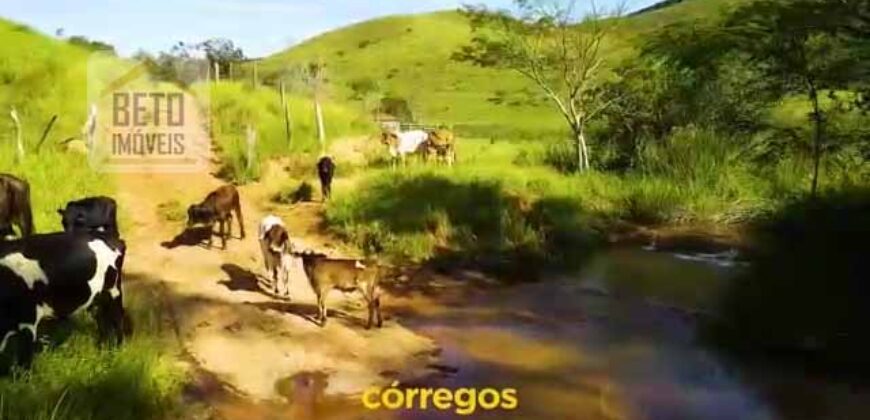 Fazenda Excepcional Estrutura Completa e Recursos Naturais incríveis 1000 alqueires | Santa Branca/ SP