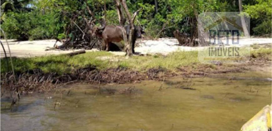 Blocos de Fazenda à Venda 400 mil has Estrutura Completa e Pista de pouso | Ilha de Marajó/ PA