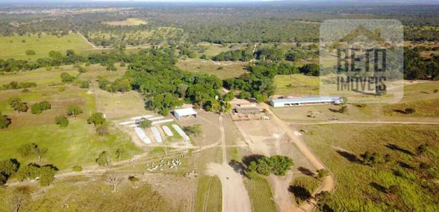 Ótima Fazenda 4.800 has com Toda Logística e infraestrutura na Área Mineira da Sudene | Buritizeiro/ MG