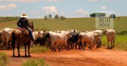 Oportunidade única! Fazenda excepcional área inicial de 1017 alqueires Infraestrutura Completa| Ourinhos/ SP