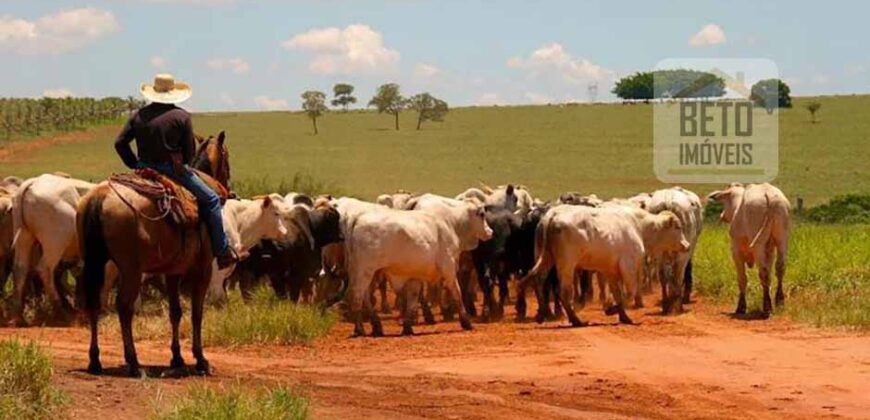 Oportunidade única! Fazenda excepcional área inicial de 1017 alqueires Infraestrutura Completa| Ourinhos/ SP