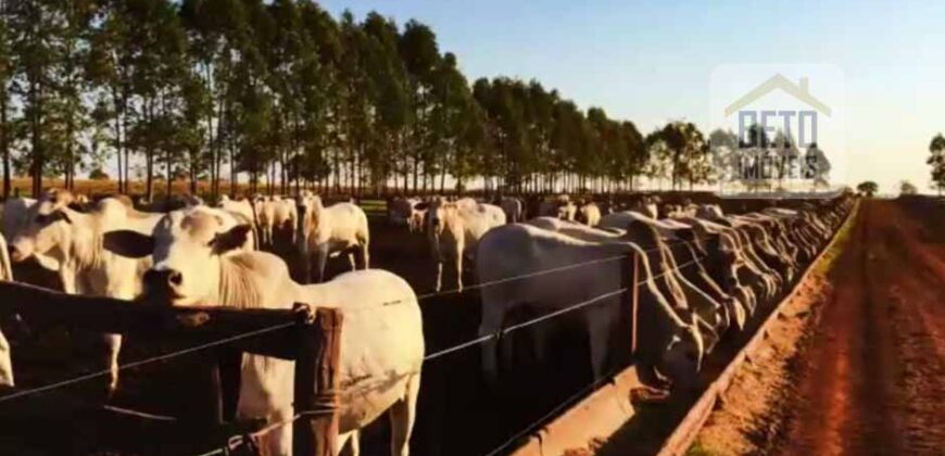 Fazenda à Venda com 2.400 alqueires plantio de cana Toda infraestrutura | São Paulo