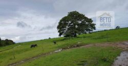 Oportunidade Única: Fazenda de Criação de Búfalos com 30.000 hectares | Chaves, Ilha de Marajó/ PA