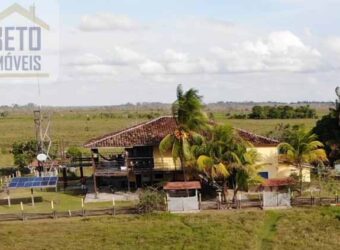 Oportunidade Única: Fazenda de Criação de Búfalos com 30.000 hectares | Chaves, Ilha de Marajó/ PA