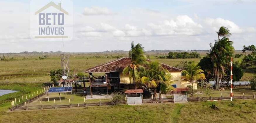 Oportunidade Única: Fazenda de Criação de Búfalos com 30.000 hectares | Chaves, Ilha de Marajó/ PA