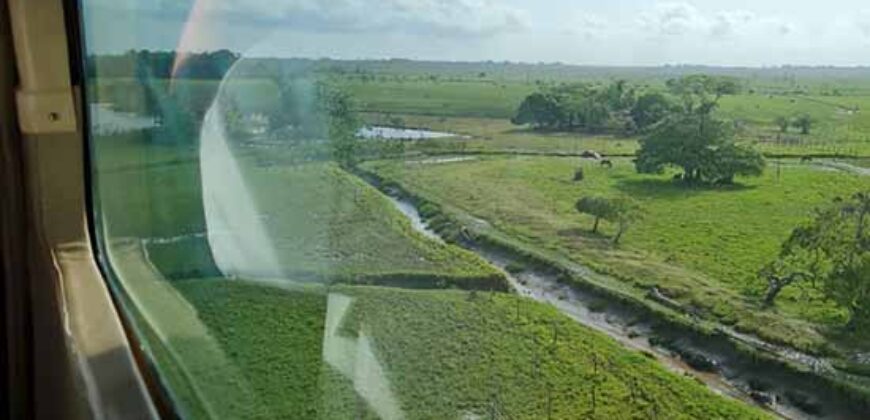 Oportunidade Única: Fazenda de Criação de Búfalos com 30.000 hectares | Chaves, Ilha de Marajó/ PA