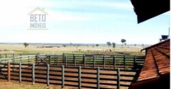 Oportunidade única! Fazenda excepcional área inicial de 1017 alqueires Infraestrutura Completa| Ourinhos/ SP