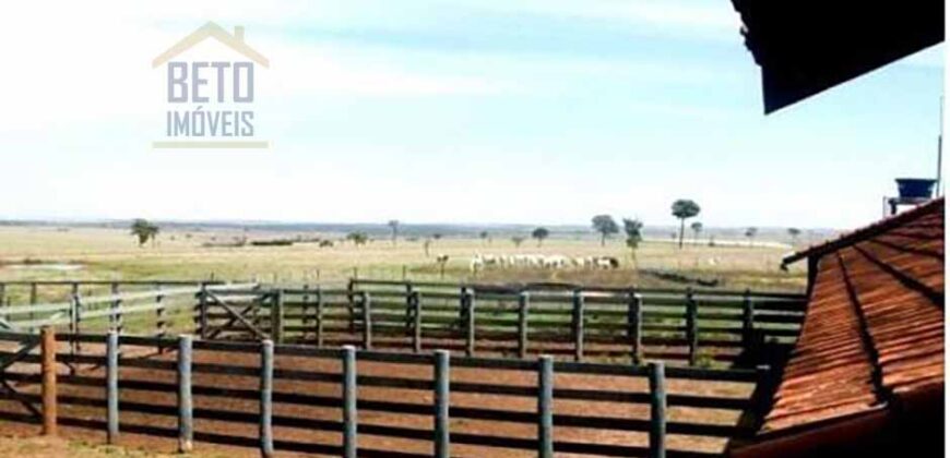 Oportunidade única! Fazenda excepcional área inicial de 1017 alqueires Infraestrutura Completa| Ourinhos/ SP