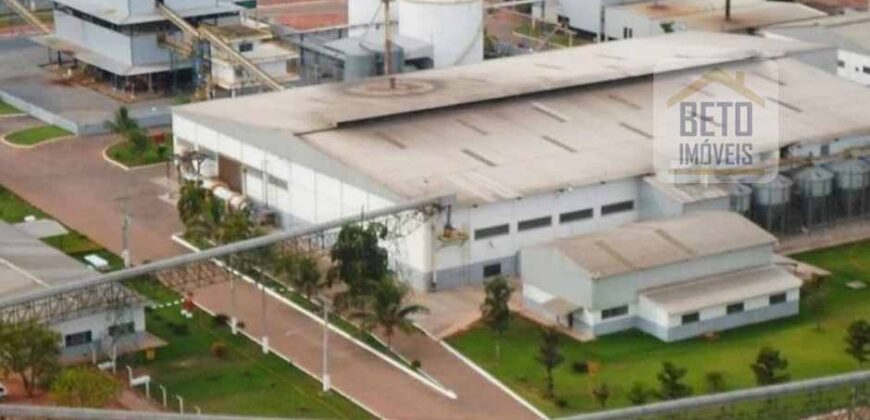 Oportunidade Única: Fazenda de Dupla Aptidão com Fábrica de Biodiesel e Pista de pouso | Nova Mutum/ MT