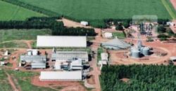 Oportunidade Única: Fazenda de Dupla Aptidão com Fábrica de Biodiesel e Pista de pouso | Nova Mutum/ MT