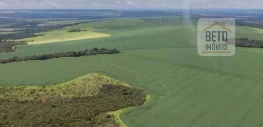 Oportunidade Única: Fazenda de Dupla Aptidão com Fábrica de Biodiesel e Pista de pouso | Nova Mutum/ MT