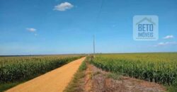 Oportunidade Única: Fazenda de Dupla Aptidão com Fábrica de Biodiesel e Pista de pouso | Nova Mutum/ MT