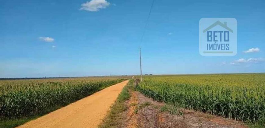 Oportunidade Única: Fazenda de Dupla Aptidão com Fábrica de Biodiesel e Pista de pouso | Nova Mutum/ MT