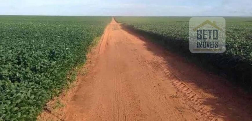 Oportunidade Única: Fazenda de Dupla Aptidão com Fábrica de Biodiesel e Pista de pouso | Nova Mutum/ MT