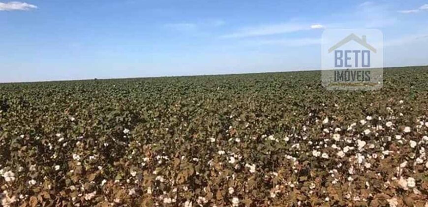 Oportunidade Única: Fazenda de Dupla Aptidão com Fábrica de Biodiesel e Pista de pouso | Nova Mutum/ MT