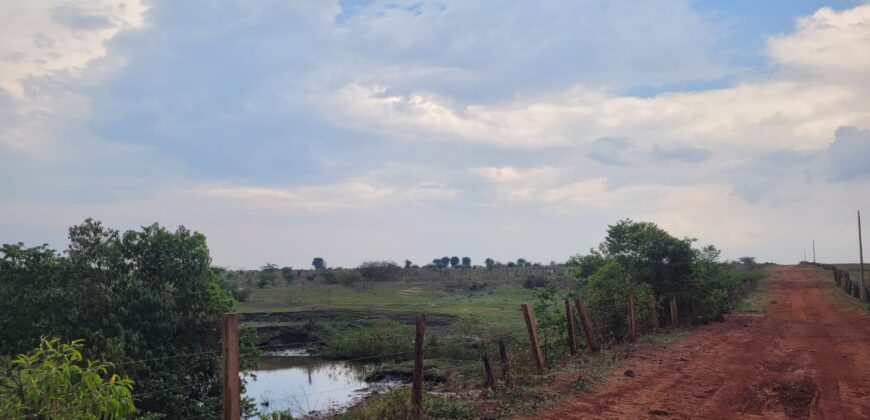 Fazenda com Pasto e Lavoura à Venda 11.374 hectares Rica em Água | São Félix do Xingu/ PA