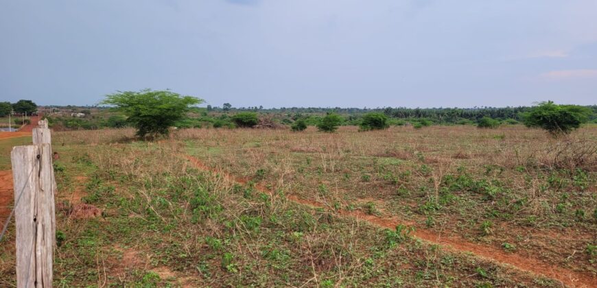 Fazenda com Pasto e Lavoura à Venda 11.374 hectares Rica em Água | São Félix do Xingu/ PA