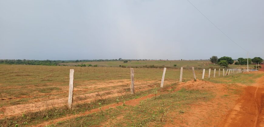 Fazenda com Pasto e Lavoura à Venda 11.374 hectares Rica em Água | São Félix do Xingu/ PA