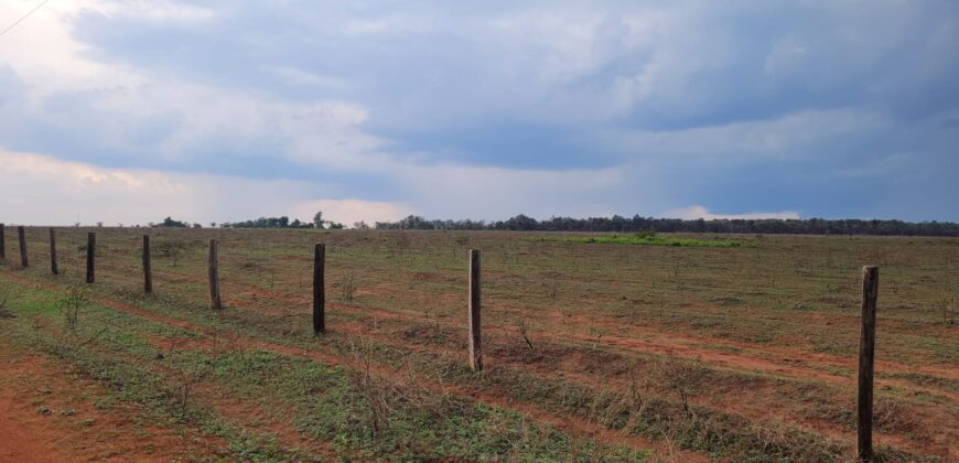 Fazenda com Pasto e Lavoura à Venda 11.374 hectares Rica em Água | São Félix do Xingu/ PA