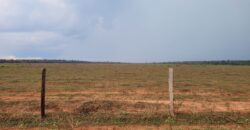 Fazenda com Pasto e Lavoura à Venda 11.374 hectares Rica em Água | São Félix do Xingu/ PA