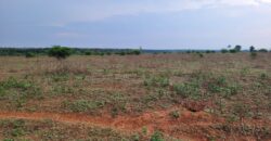 Fazenda com Pasto e Lavoura à Venda 11.374 hectares Rica em Água | São Félix do Xingu/ PA