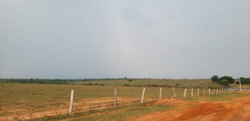 Fazenda com Pasto e Lavoura à Venda 11.374 hectares Rica em Água | São Félix do Xingu/ PA