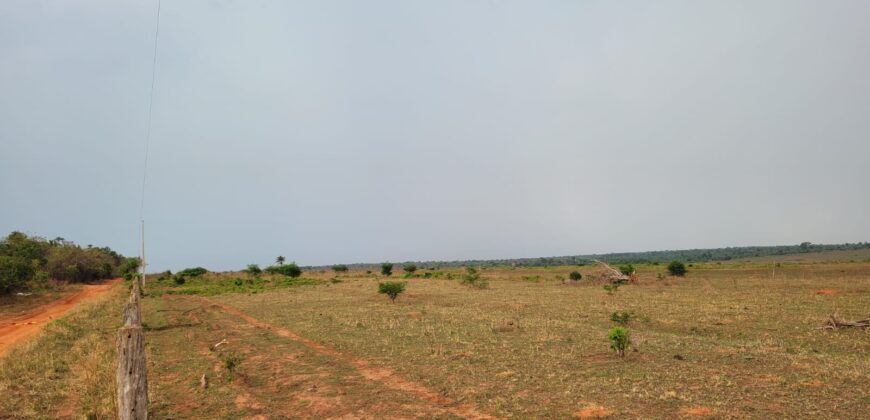 Fazenda com Pasto e Lavoura à Venda 11.374 hectares Rica em Água | São Félix do Xingu/ PA