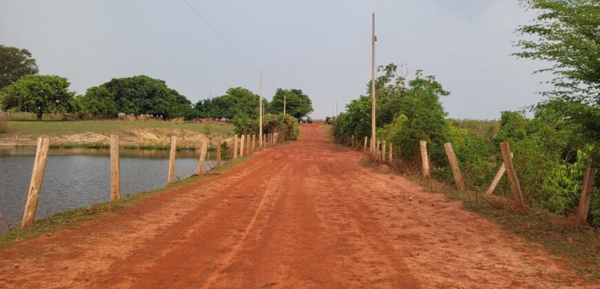 Fazenda com Pasto e Lavoura à Venda 11.374 hectares Rica em Água | São Félix do Xingu/ PA