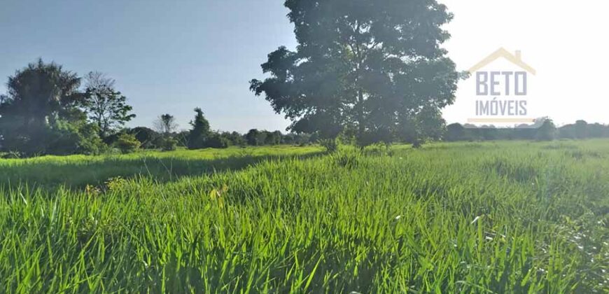 Oportunidade Única! Fazenda Histórica -11.970 ha Pecuária gado bovino e bubalino | Alenquer/ PA