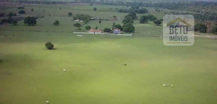 Oportunidade Única! Fazenda Histórica -11.970 ha Pecuária gado bovino e bubalino | Alenquer/ PA