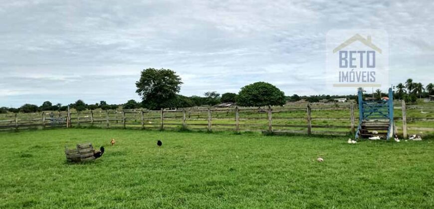 Oportunidade Única! Fazenda Histórica -11.970 ha Pecuária gado bovino e bubalino | Alenquer/ PA