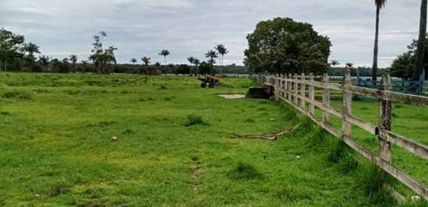 Oportunidade Única! Fazenda Histórica -11.970 ha Pecuária gado bovino e bubalino | Alenquer/ PA