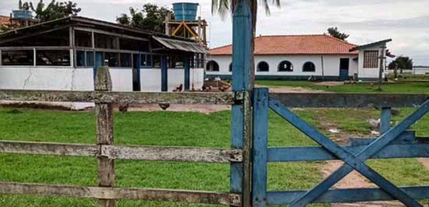 Oportunidade Única! Fazenda Histórica -11.970 ha Pecuária gado bovino e bubalino | Alenquer/ PA