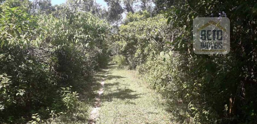 Imperdível! Fazenda à Venda 340 has Ótima localização e Potencial turístico | Angra dos Reis/ RJ