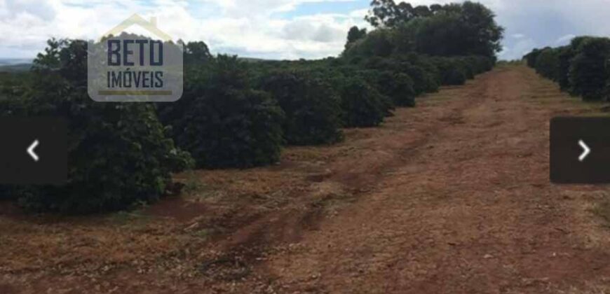 Oportunidade Única. Fazenda Café, Cereais e Pecuária 1.060 hectares Infraestrutura Completa | Região de Araxá/ MG