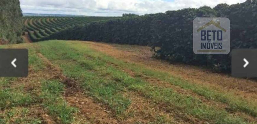 Oportunidade Única. Fazenda Café, Cereais e Pecuária 1.060 hectares Infraestrutura Completa | Região de Araxá/ MG